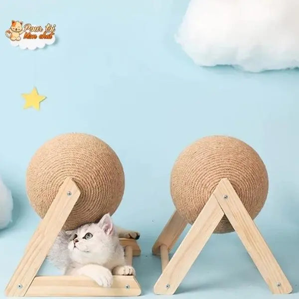 Griffoir brosse boule pour chat - Grif'Ball'Cat™