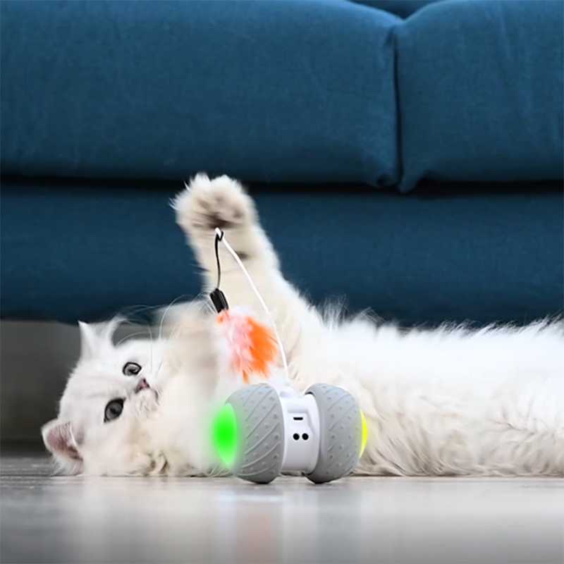 Jouet intelligent interactif pour chat - ROUESàPLUMES™ - Tiges et plumes de rechange