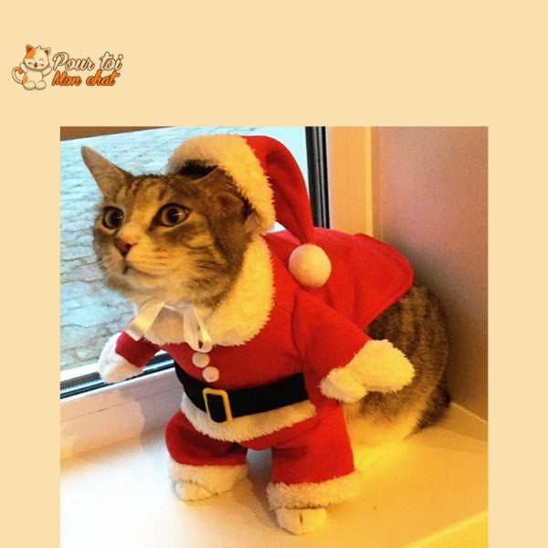 Noël - Déguisement de Père Noël pour Chat - Chat’Noël™