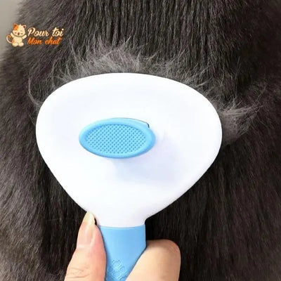 Brosse et peigne pour Poils de Chat - CleanyBrush™