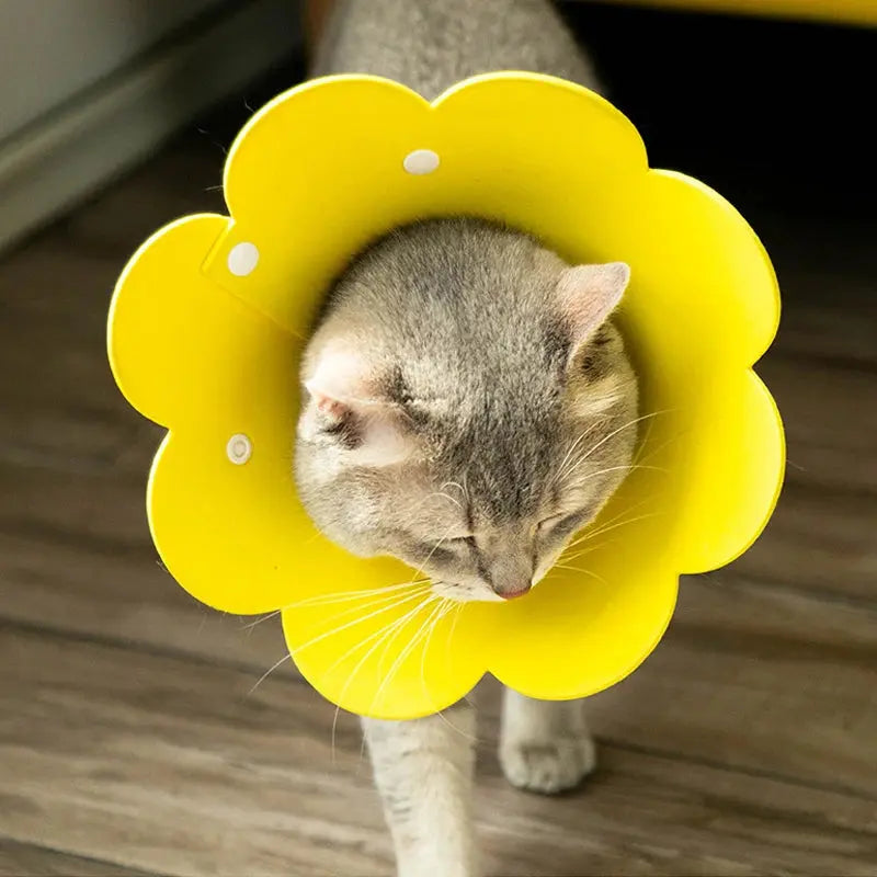 Collerette Chat Réglable et Légère en Forme de Fleur