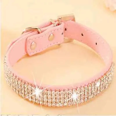 Collier de laisse en strass et faux cuir pour chat