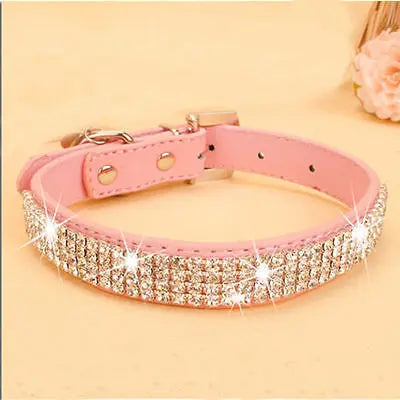 Collier de laisse en strass et faux cuir pour chat