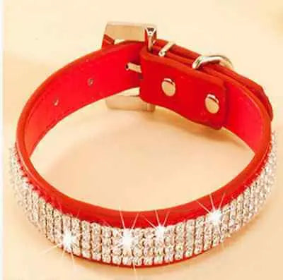 Collier de laisse en strass et faux cuir pour chat