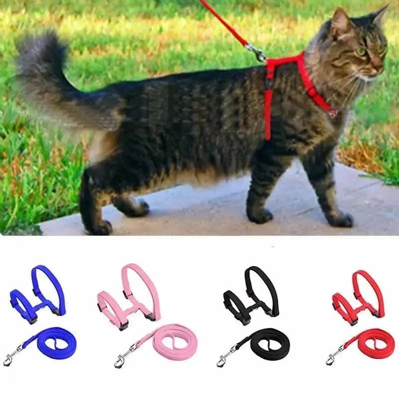 Collier en nylon réglable pour chat