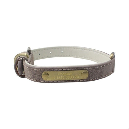 Collier molosse personnalisable - Animal Lovers