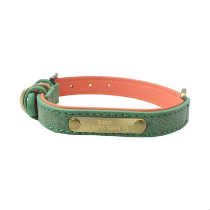 Collier molosse personnalisable - Animal Lovers