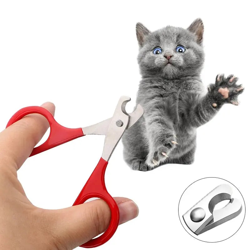 Coupe-ongles professionnel pour petit chaton