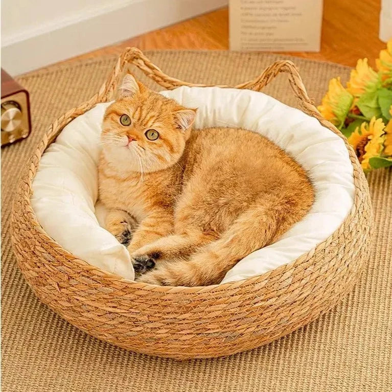 Coussin Chat Rond En Rotin Avec Des Oreilles De Chat