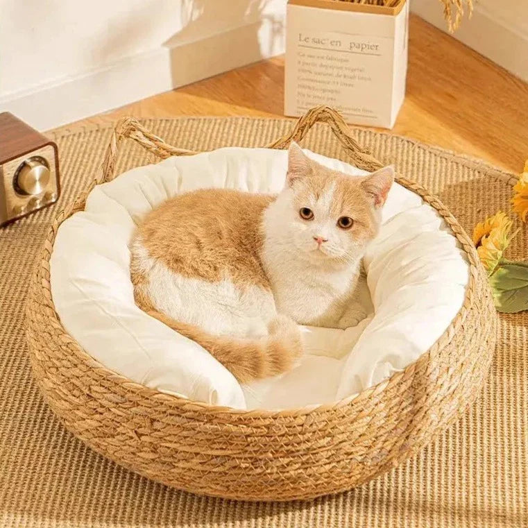 Coussin Chat Rond En Rotin Avec Des Oreilles De Chat