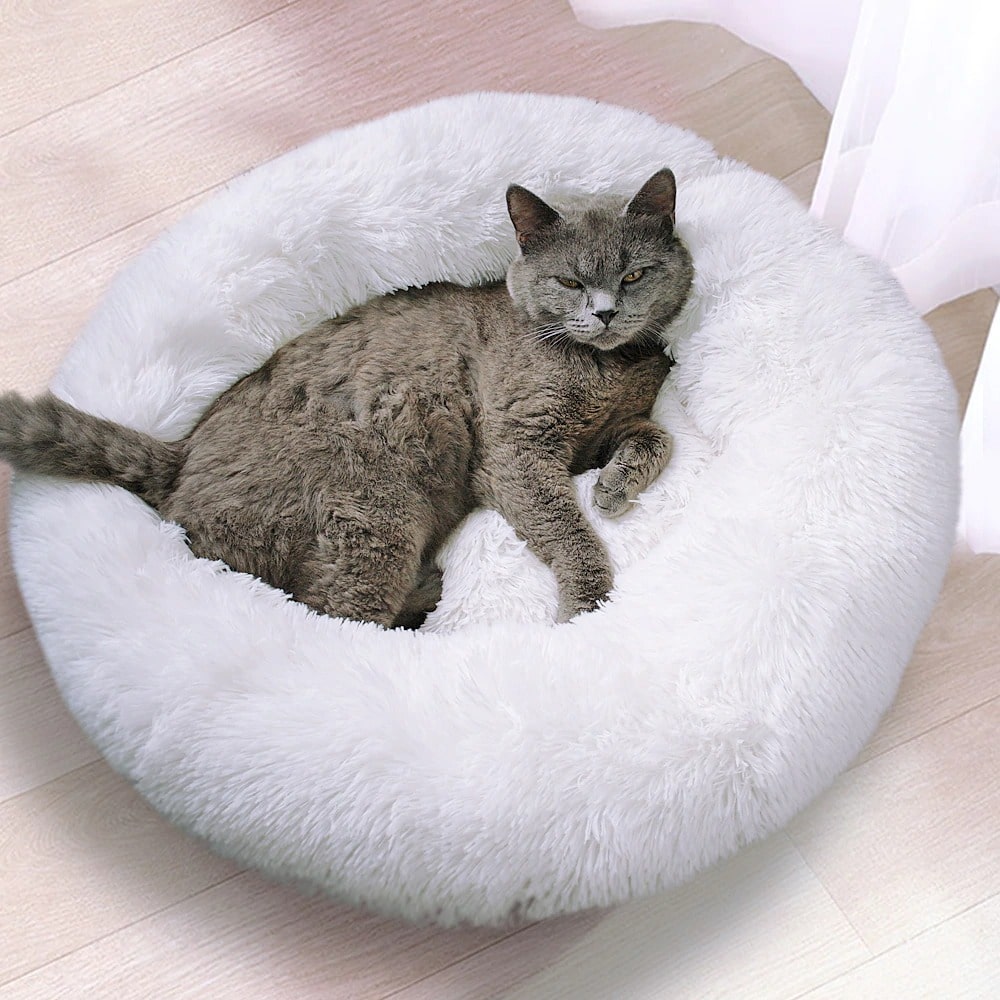 Coussin apaisant pour chien et chat Pleasant