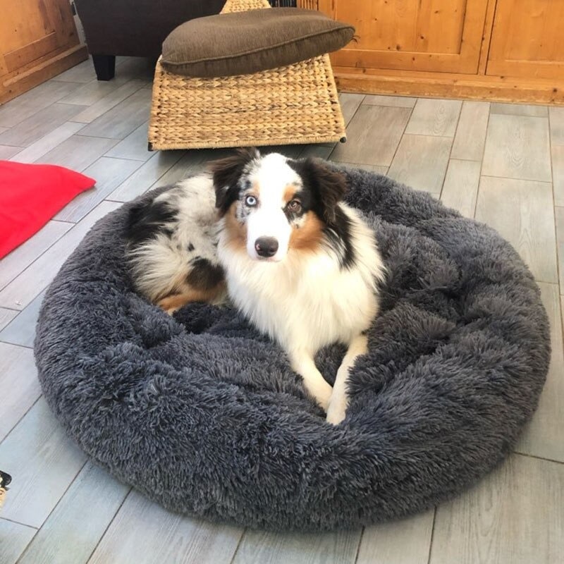 Coussin apaisant pour chien et chat Pleasant