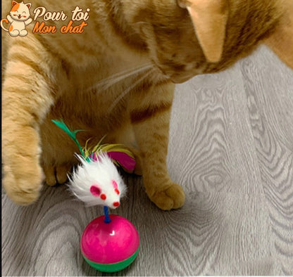 Balle culbuto avec souris - Souris'On'Ball™