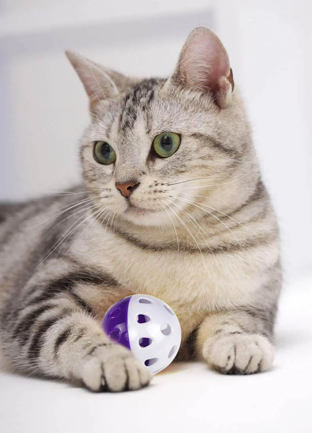 Ensemble de six boules amusantes avec cloche pour chat