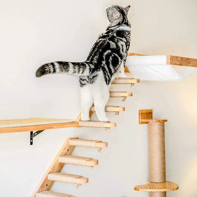 Escalier pour Chat à Fixer Contre un Mur