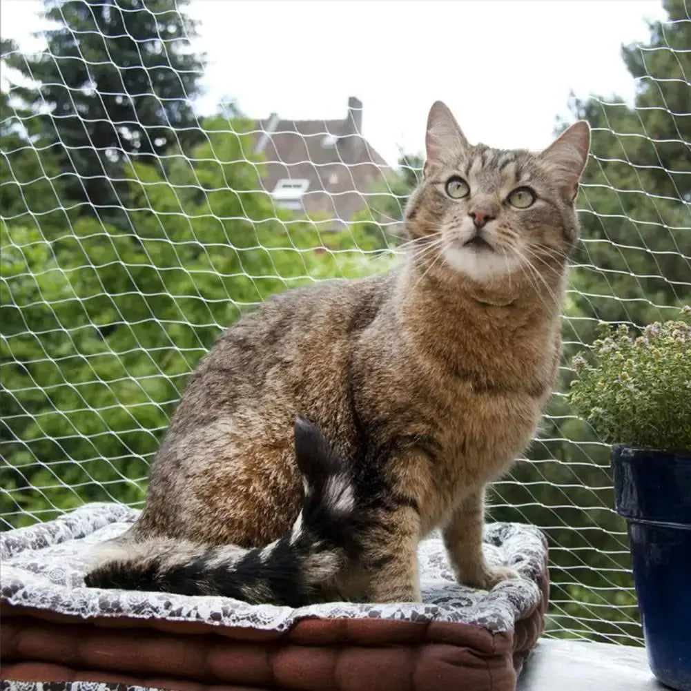 Filet de Protection Chat avec Accessoires de Montage