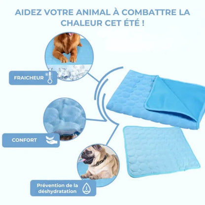 AnimalFreeze | Tapis rafraîchissant pour chien et chat – En promo ! 🔥