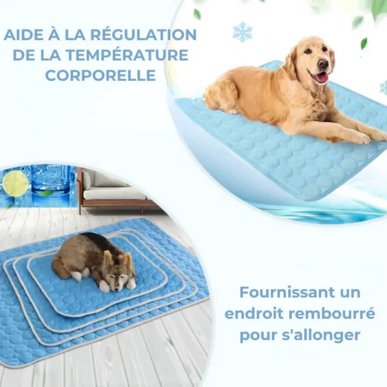 AnimalFreeze | Tapis rafraîchissant pour chien et chat – En promo ! 🔥