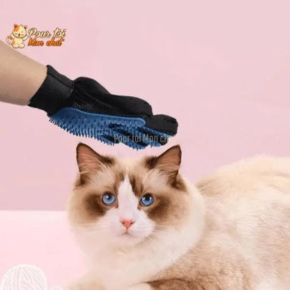 Gant de toilettage et de massage pour chat - Clean'Cat™