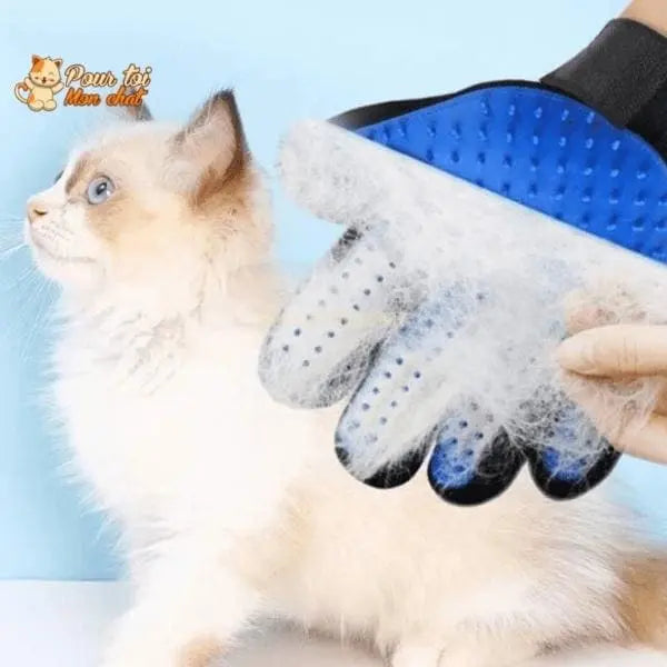 Gant de toilettage et de massage pour chat - Clean'Cat™