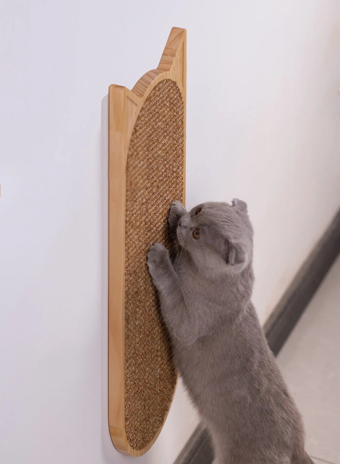 Grattoir mural en sisal pour chat