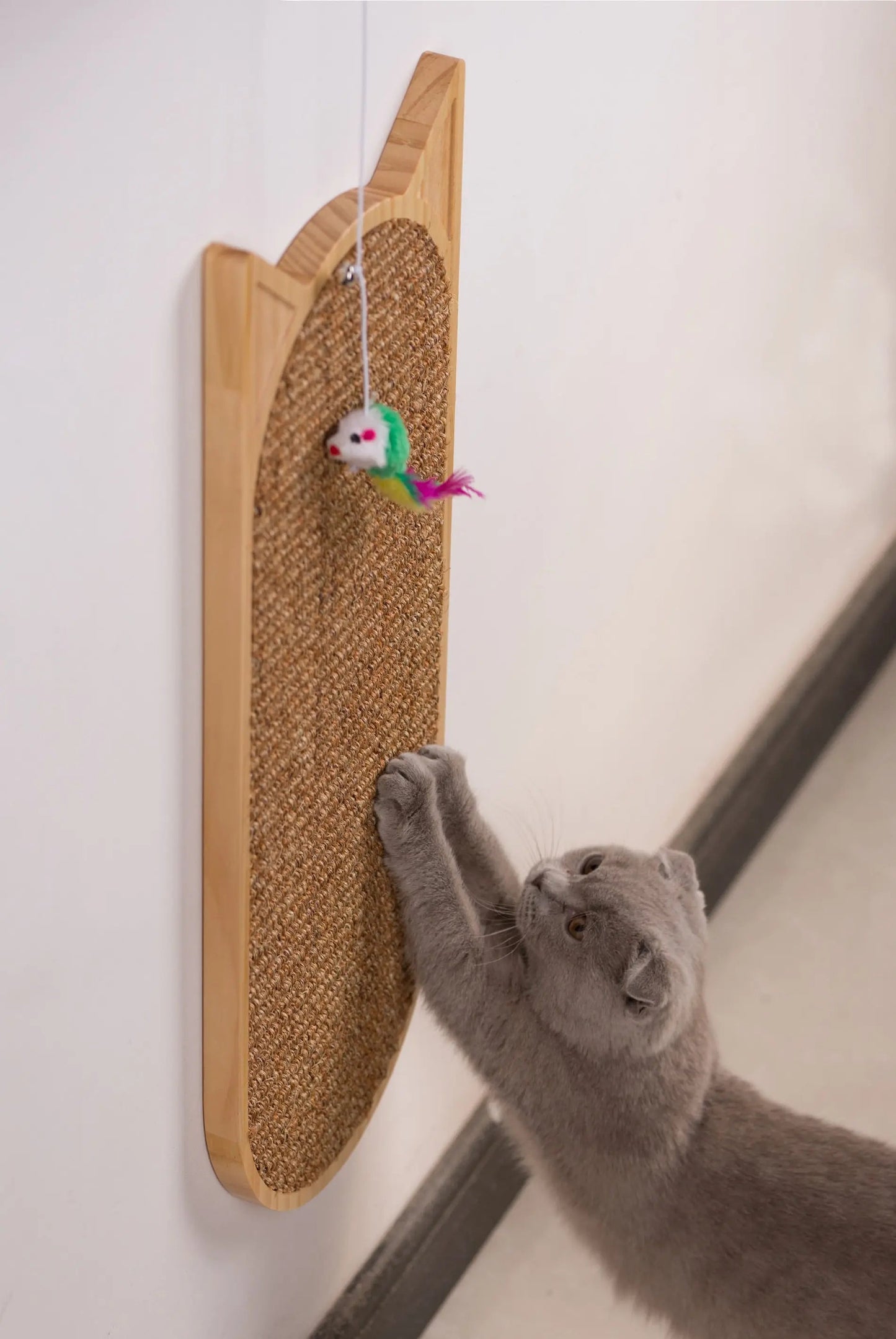 Grattoir mural en sisal pour chat