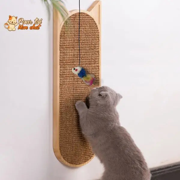 Grattoir mural en sisal pour chat