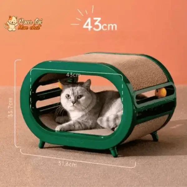 Griffoir ludique, design et spacieux pour chats