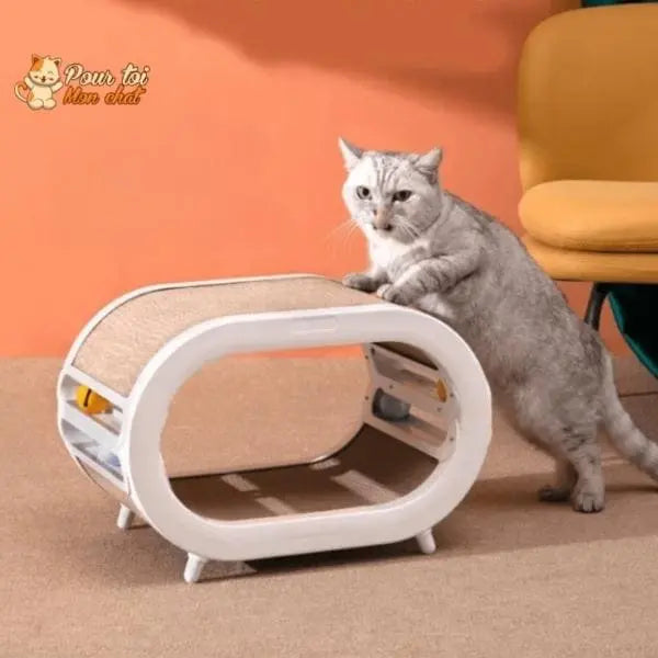 Griffoir ludique, design et spacieux pour chats