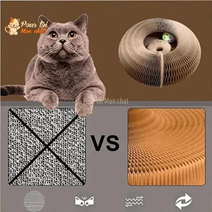 Griffoir magique modulable en jouet pour chat - Accordéon4Cat™