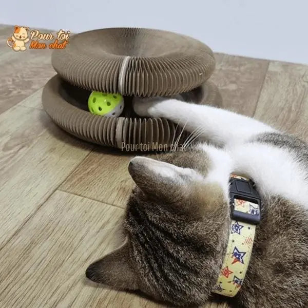 Griffoir magique modulable en jouet pour chat - Accordéon4Cat™