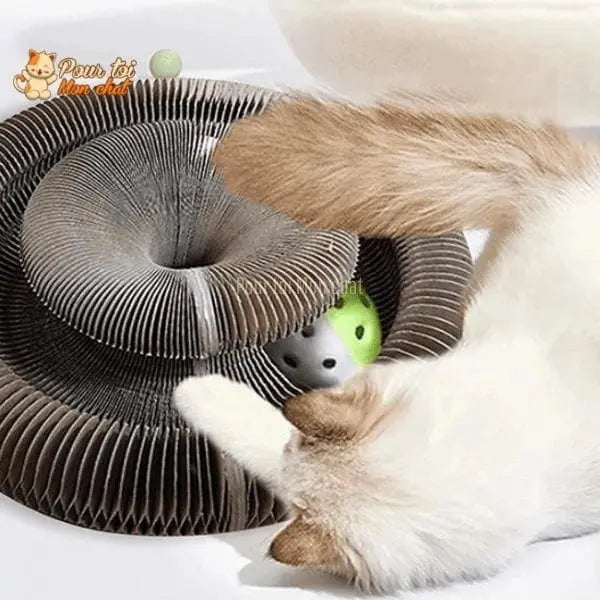 Griffoir magique modulable en jouet pour chat - Accordéon4Cat™