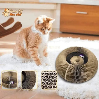 Griffoir magique modulable en jouet pour chat - Accordéon4Cat™