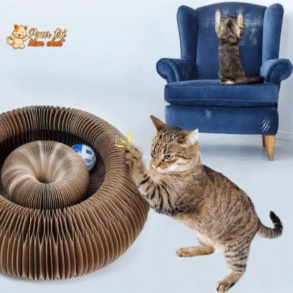 Griffoir magique modulable en jouet pour chat - Accordéon4Cat™