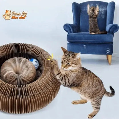 Griffoir magique modulable en jouet pour chat - Accordéon4Cat™