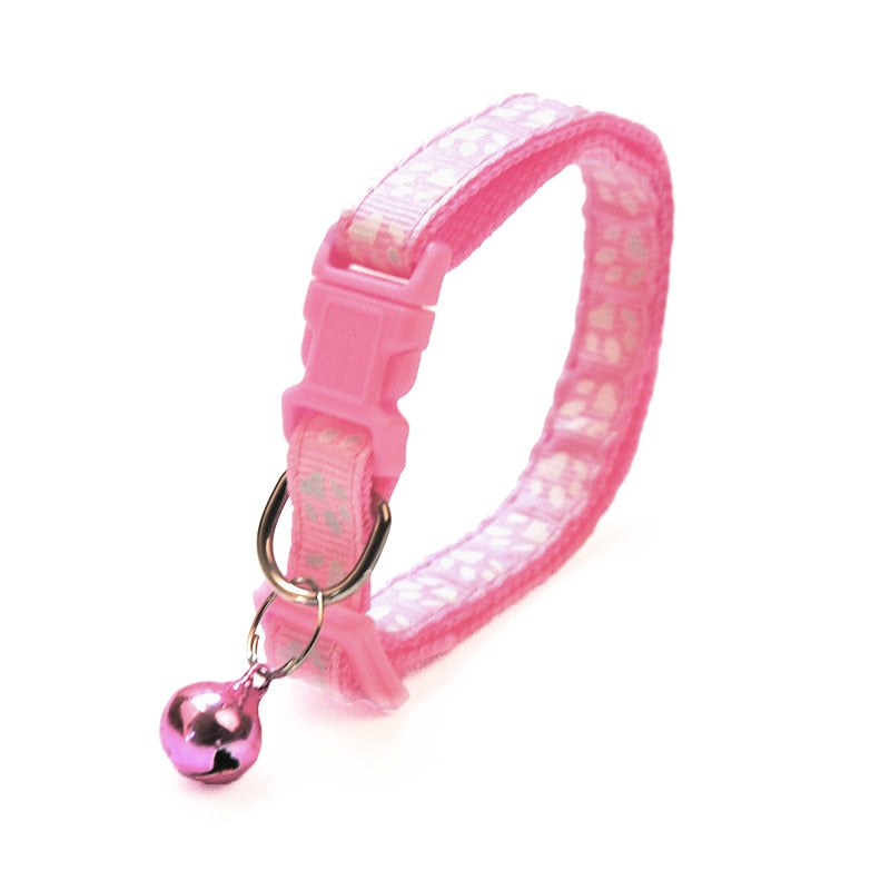 Collier pour chat réglable