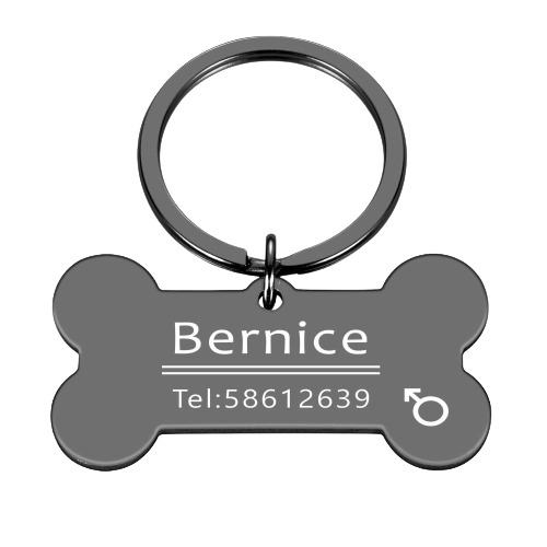 Médaille personnalisée pour chien et chat