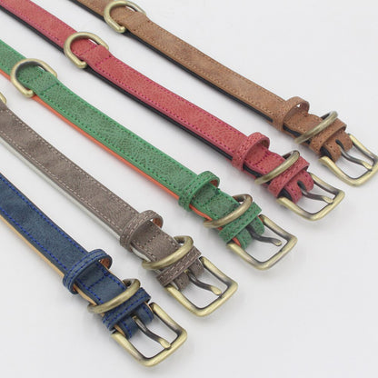 Collier molosse personnalisable - Animal Lovers