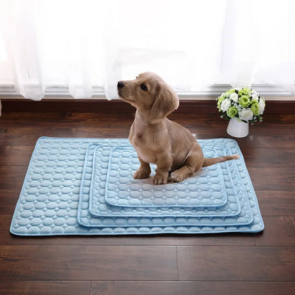 AnimalFreeze | Tapis rafraîchissant pour chien et chat – En promo ! 🔥