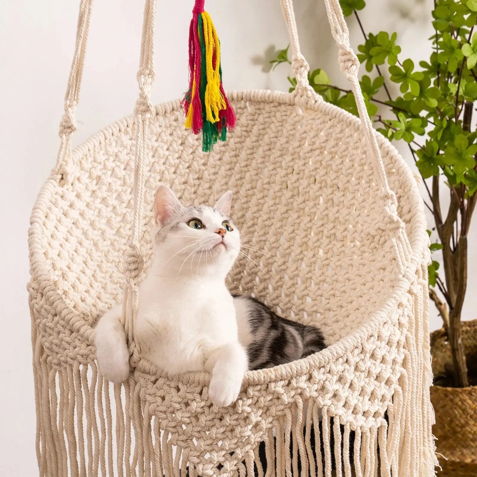 Hamac Pour Chat Rond Tissé À La Main Avec Des Franges