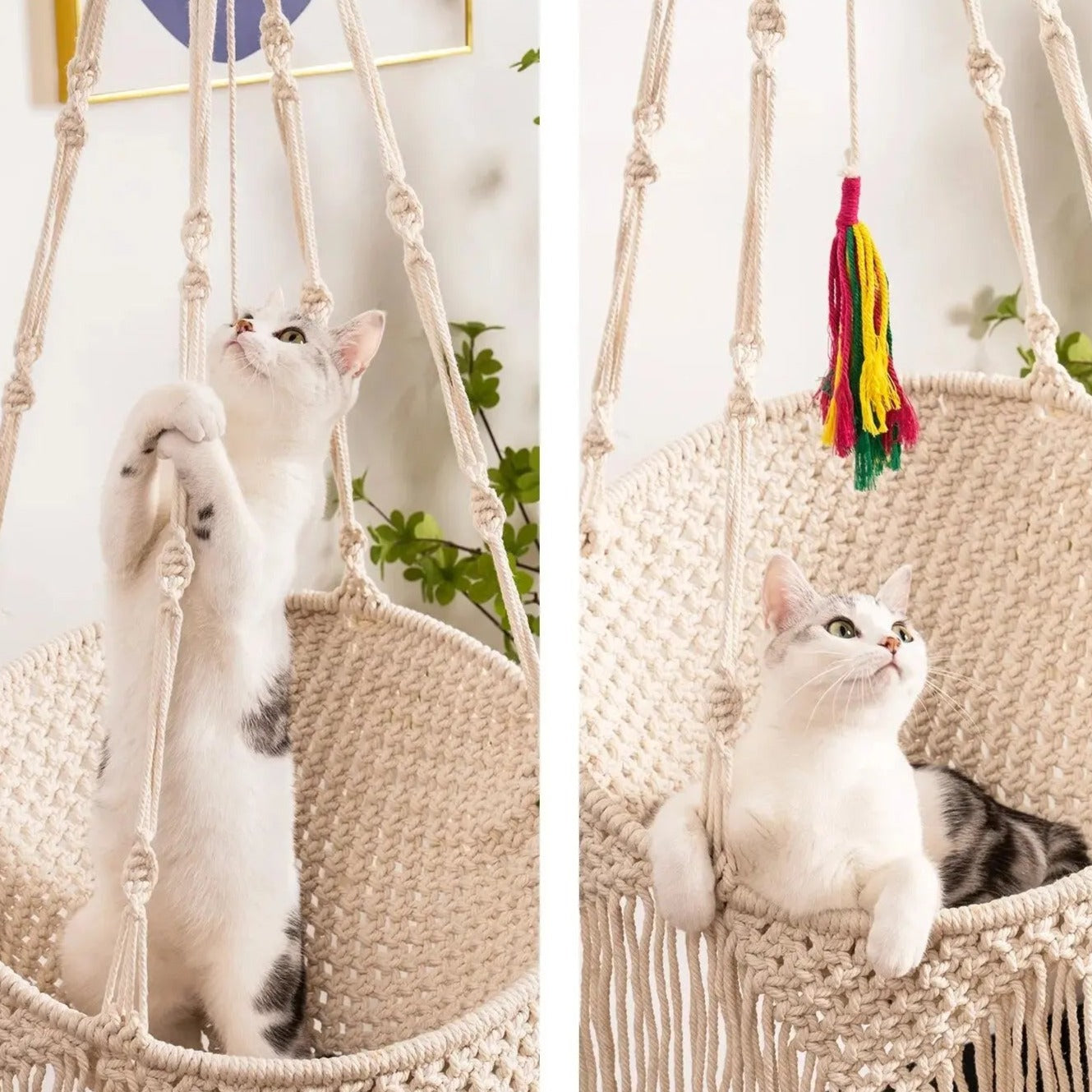 Hamac Pour Chat Rond Tissé À La Main Avec Des Franges