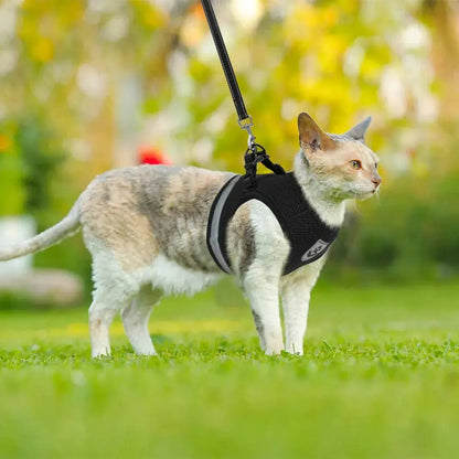 Harnais Chaton Respirant et Réfléchissant avec Laisse en Nylon