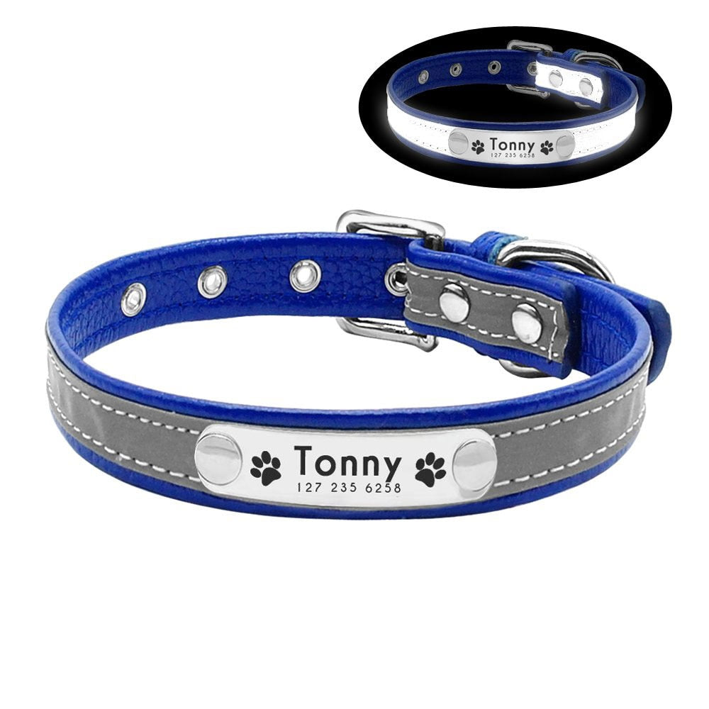 Collier pour chien et chat lumineux