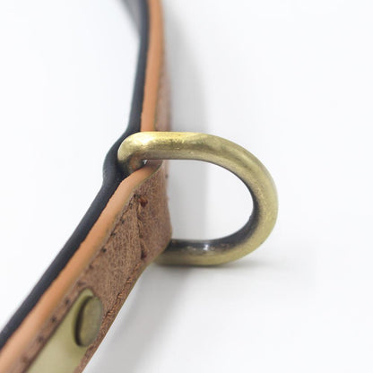 Collier molosse personnalisable - Animal Lovers