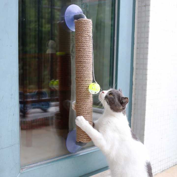 Jouet à gratter avec boule pour chat