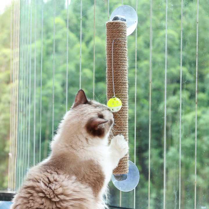 Jouet à gratter avec boule pour chat