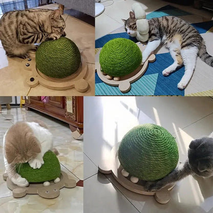 Jouet à gratter durable en forme de tortue en sisal pour chat