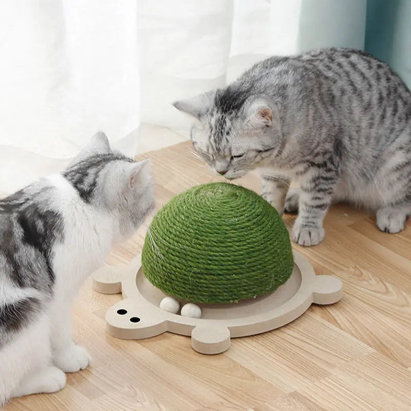 Jouet à gratter durable en forme de tortue en sisal pour chat