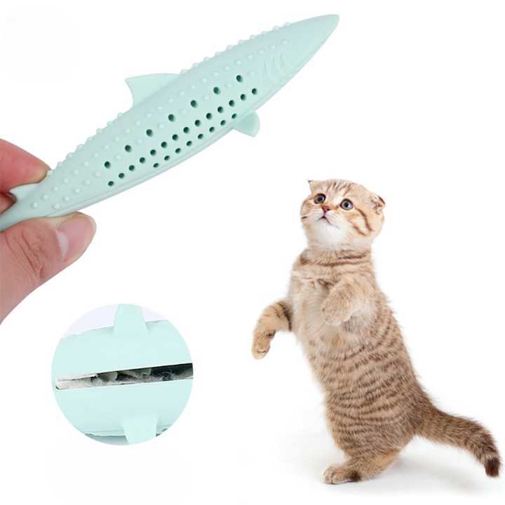 Jouet brosse à dents en forme de poisson en silicone et herbe à chat