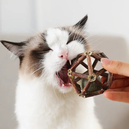 Jouet de bâtonnets en bois avec boule de cataire pour chat